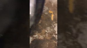 Монтаж проводки для переделки из робота на механику опель z16/18xer.