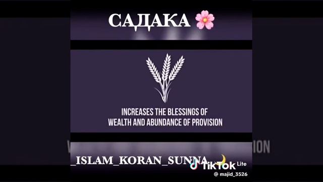 25 января 2024 г. смотреть онлайн