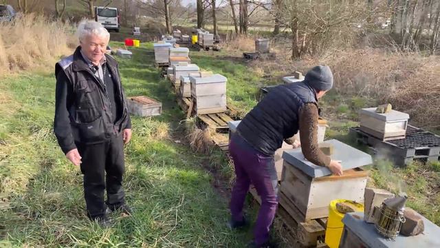 Live von Pias Bienenstand 27.2.21 смотреть онлайн