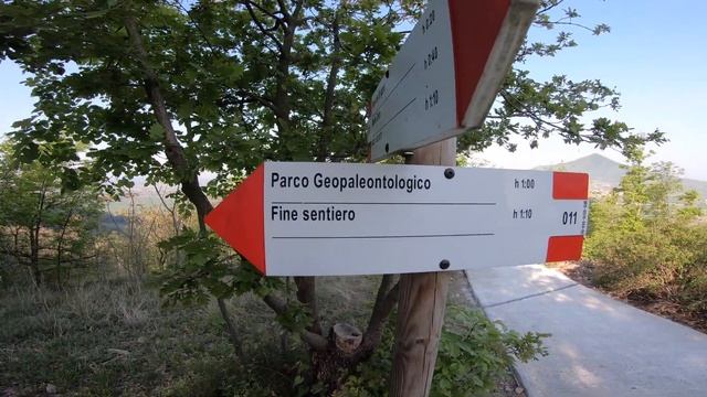 TRAIL IMPERDIBILE!! Colli Euganei - Tra Arquà Petrarca e Calaone смотреть онлайн