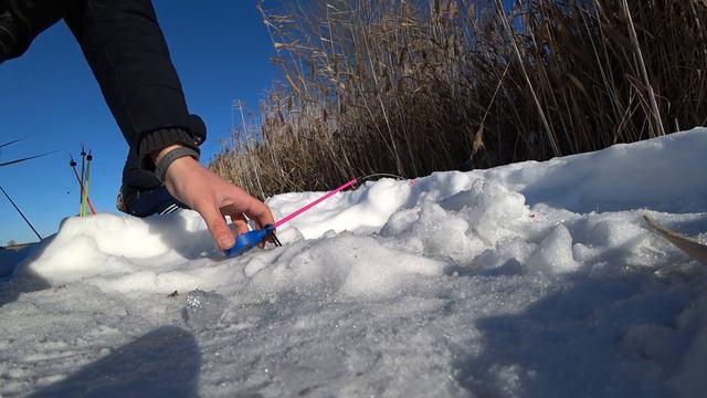 #winterfishing Вторая в жизни зимняя рыбалка. смотреть онлайн