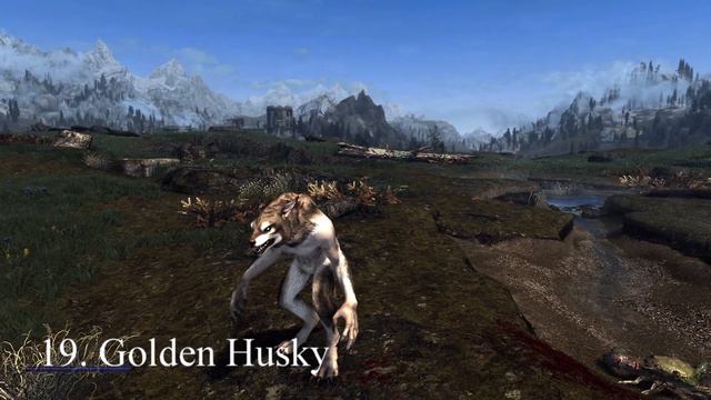 Moonlight Tales - All Werewolf & Werebear Skins. Skyrim Mod Showcase (Xbox one|Series X/S) смотреть онлайн