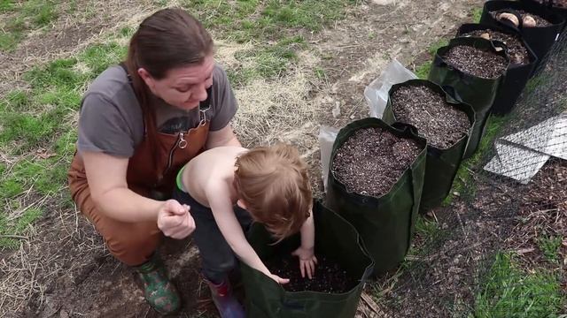 Potatoes in Grow Bags! смотреть онлайн