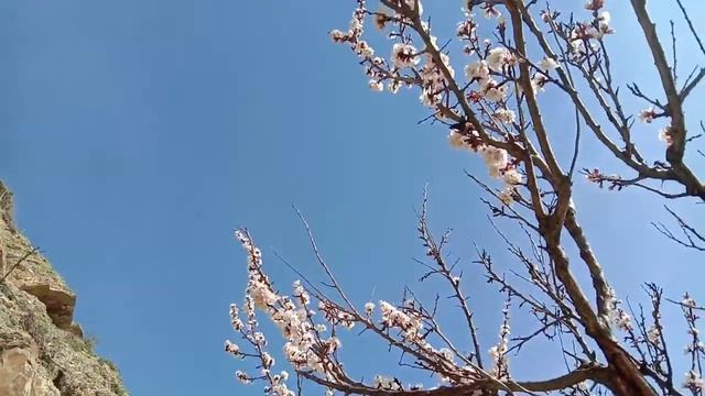 Я не хочу 4 стены... смотреть онлайн