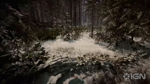 7 ИНТЕРЕСНЫХ ВЕЩЕЙ В SONS OF THE FOREST смотреть онлайн