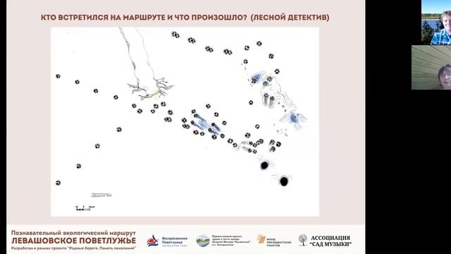 004-4 Заповедными тропами. Природный парк Воскресенское Поветлужье. смотреть онлайн