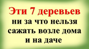 Вы ахнете! Эти 7 деревьев ни за что нельзя сажать возле дома и на даче