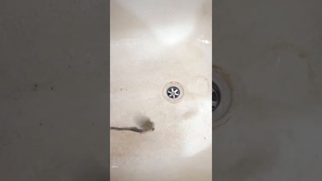 Ремонтные Легенды