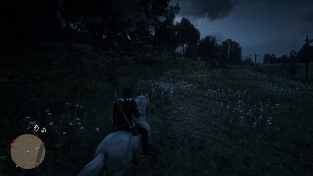 Редкая лошадь малопятнистая аппалуза | Red Dead Redemption 2 смотреть онлайн