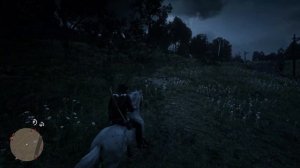 Редкая лошадь малопятнистая аппалуза | Red Dead Redemption 2