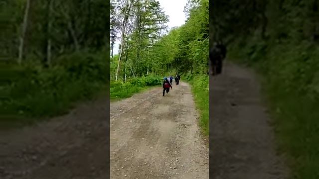 Поход на гору "Лысая" в Южно-Сахалинске. (2) смотреть онлайн