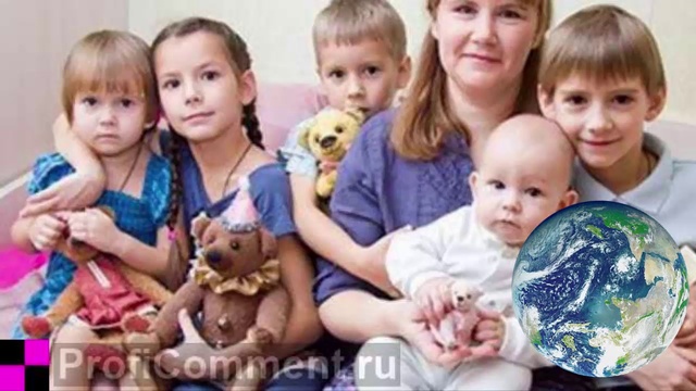 ProfiComment ПрофиКоммент