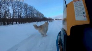 Ski Doo Alpina 2 видео подвески