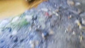 Замена шаровой опоры Форд фокус 2 своими руками в гараже