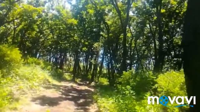 Столбы под новой Москвой рассуждения на базе отдыха Балюзек смотреть онлайн