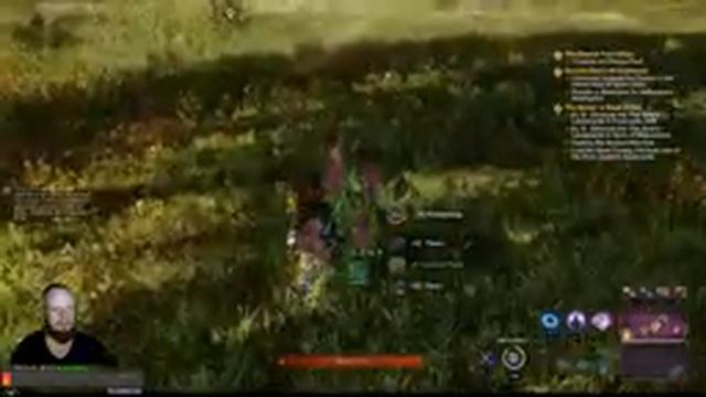 \New World/ Сервер Ekera /Прокачка Профессий / Улучшаю Gear Score смотреть онлайн