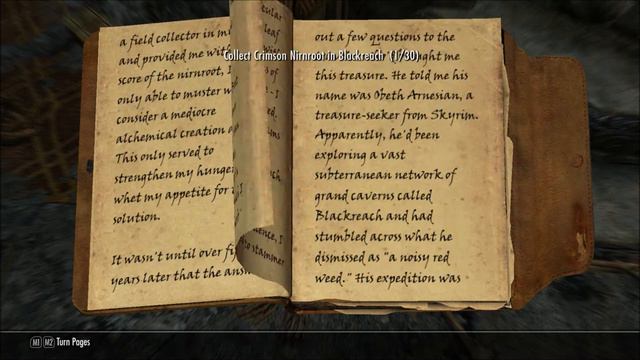 1 - Randalf The Random Nord - Beginning смотреть онлайн