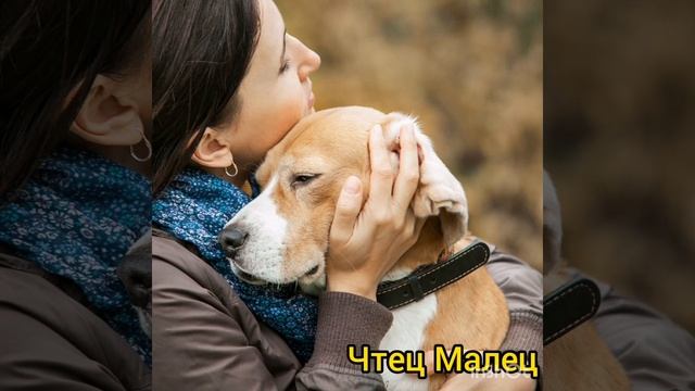 Не прячьте нежность по карманам... Автор Лариса Шешукова. Читает Лёня Бархатов. смотреть онлайн