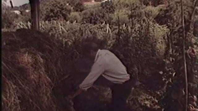 Văleu, Văleu Nu Turna!! Full (tot Filmul)