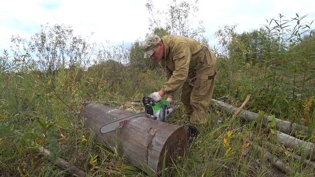 Мощная бензопила с 50см шиной! Распил валежника. REDVERG RD-GC62-20 смотреть онлайн