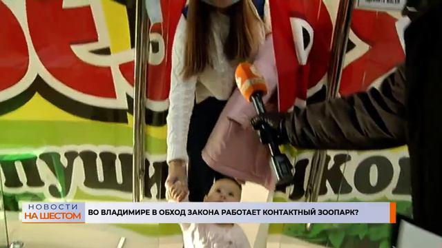 Во Владимире в обход закона работает контактный зоопарк? смотреть онлайн
