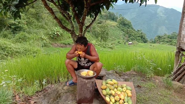 Eating Natural yellow Mango in paddy field Delicious |Longi Vlogs| смотреть онлайн