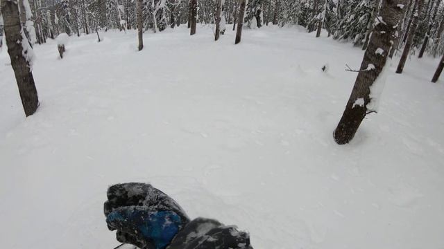 Тягун, сезон 2020 BRP See Doo Summit T3 163