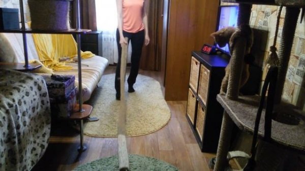 Необычная когтеточка для кота своими руками ??? / Unusual do-it-yourself climbing frame for a cat