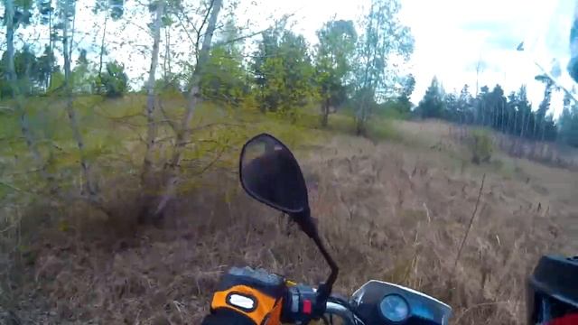 По лесам и полям на Kayo t2 смотреть онлайн