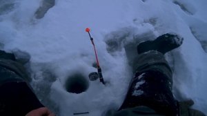 Зимняя ловля арктического гольца на Кольском полуострове. Техника ловли гольца зимой.