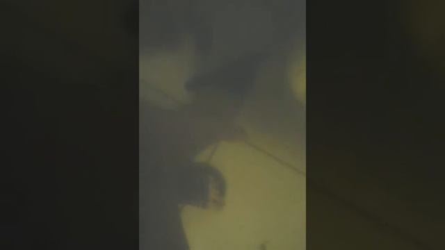 Как правыльно пинать мяч смотреть онлайн