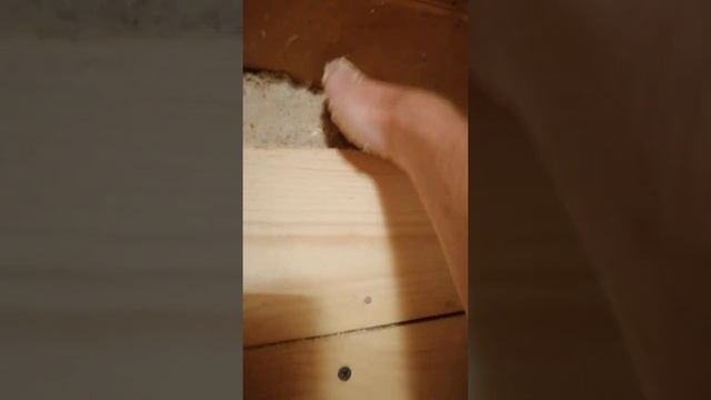 Утепление стен опилками. Закладка верха.