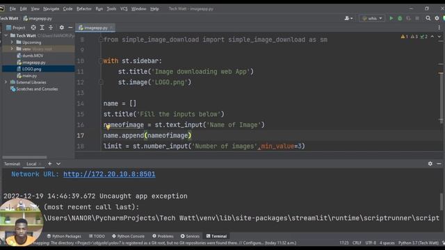 Build Image Downloading WebApp In Python. Streamlit | Python App смотреть онлайн