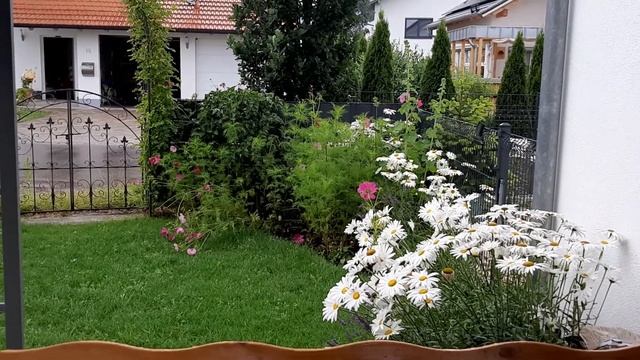 Опять дожди, блины для внуков, не много о себе смотреть онлайн