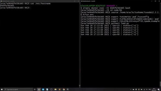 Modernizing Oracle Tuxedo Applications with Python | 6. Administering the Application Using MIBS смотреть онлайн