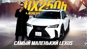 ОБЗОР LEXUS UX250H?МЕЧТА МИЛЛЕНИАЛА?