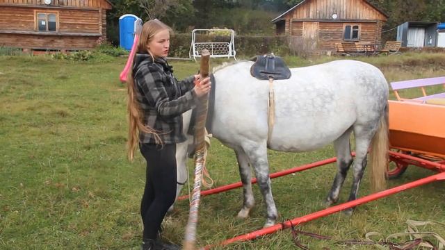 Как запрячь лошадь в русскую сбрую?