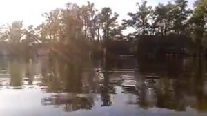 лодочный мотор Suzuki DF5 ходовые качества