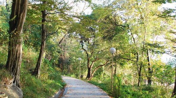 Наш отпуск 2024 часть третья "Оздоровительная"