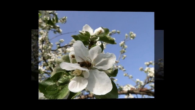 ЛИШЬ ТОЛЬКО РАЗ !!! (HD) смотреть онлайн