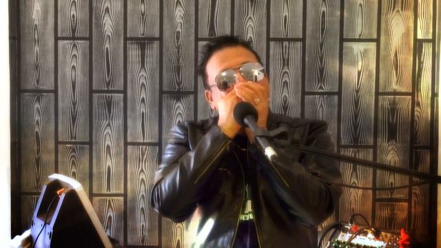 SLY d CAT - GIVE ME YOUR HEART TONIGHT HARMONICA COVER смотреть онлайн