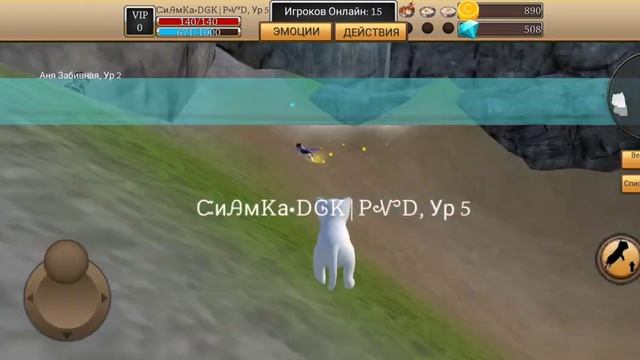 обзор на карту лес смотреть онлайн