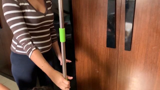 Aspirador de pó vertical. Ergorapido Electrolux ERG 23 смотреть онлайн