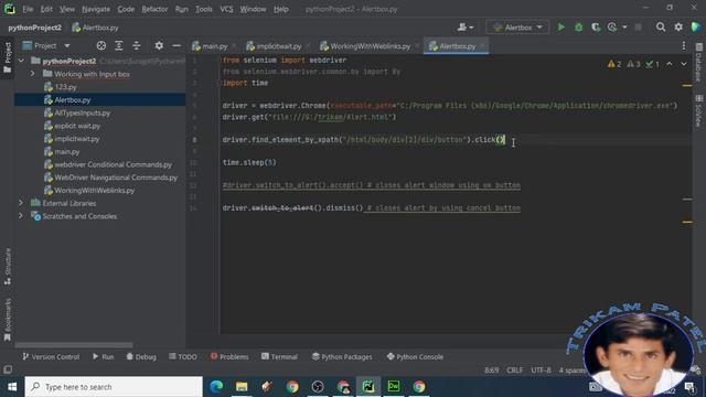 Alert box, Pop Up - Selenium Automation with Python, Pycharm IDE смотреть онлайн