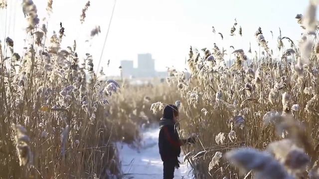 Тюмень зима смотреть онлайн