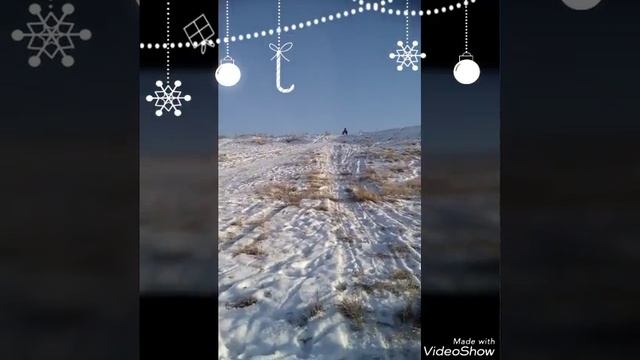 Король смеха катается на санках смотреть онлайн