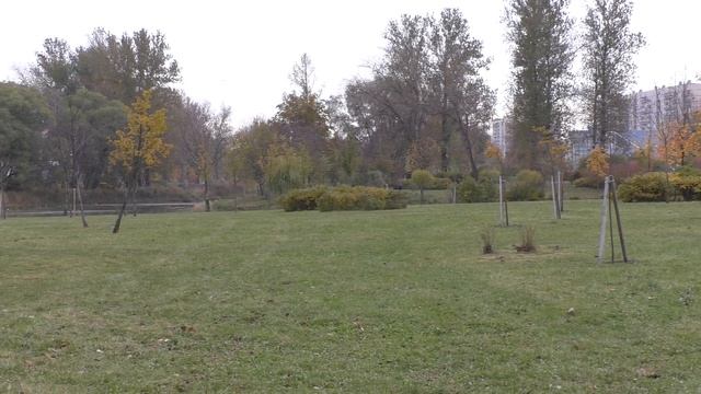 Video test SONY Handycam® HDR-PJ410 AVCHD 1920x1080 50p Video test Full HD смотреть онлайн