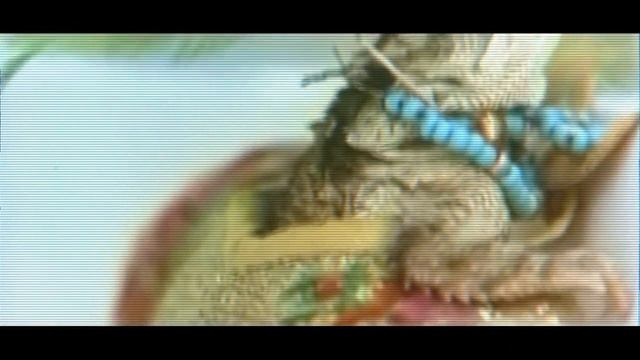 Atelier Bizarre / 26. Mai / Saarbrücken