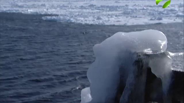 В море Лаптевых зафиксировано увеличение выбросов метана смотреть онлайн