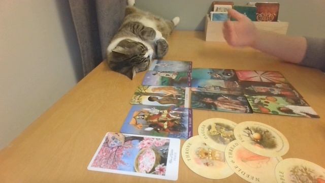 Jakie ON/ONA ma wobec Ciebie INTENCJE? ??❤️ Tarot WYBIERZ KARTĘ ? Miłość ? Horoskop ❤️ BEZTERMINOWO смотреть онлайн